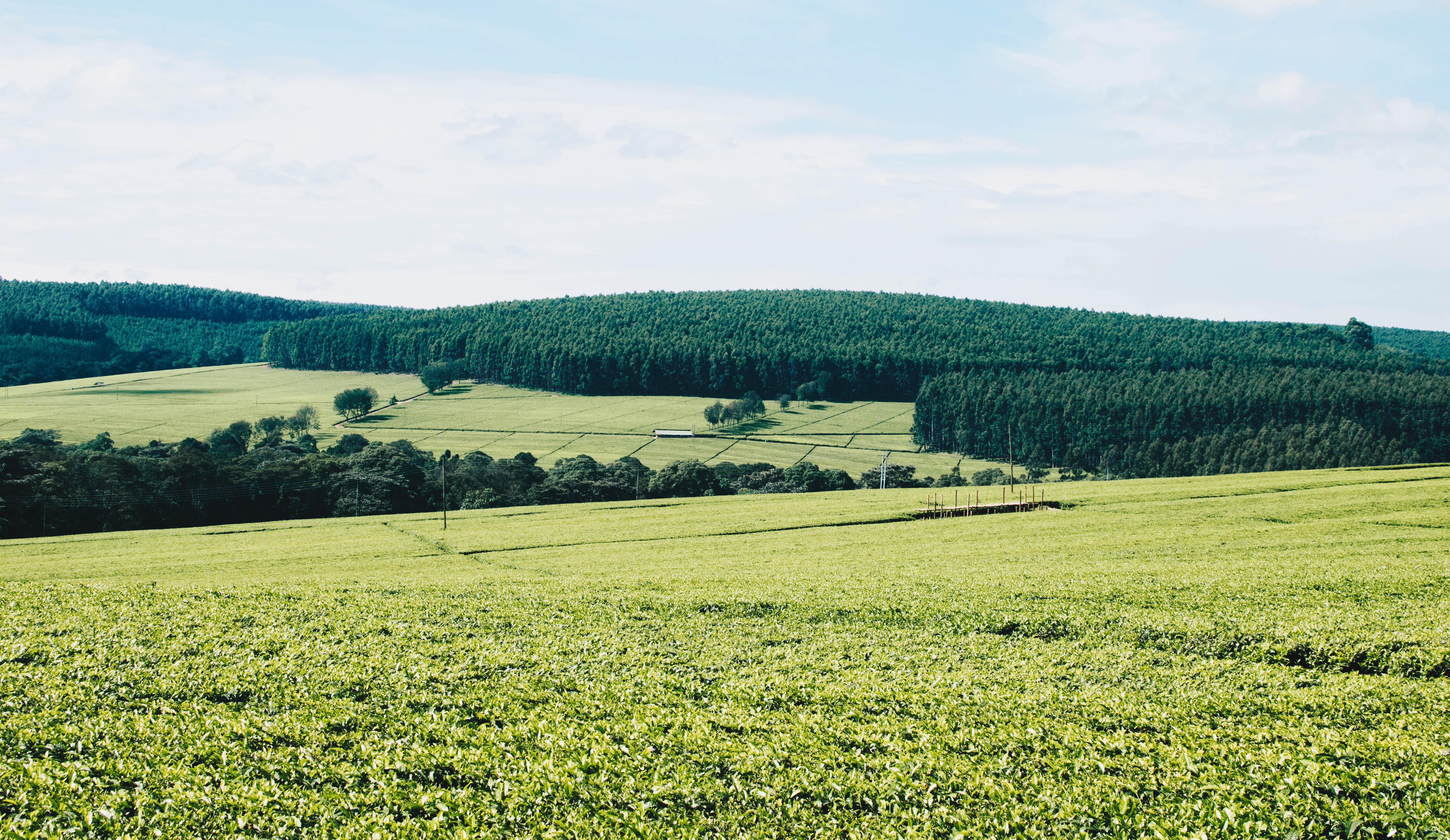 africa-agriculture-countryside-1199689